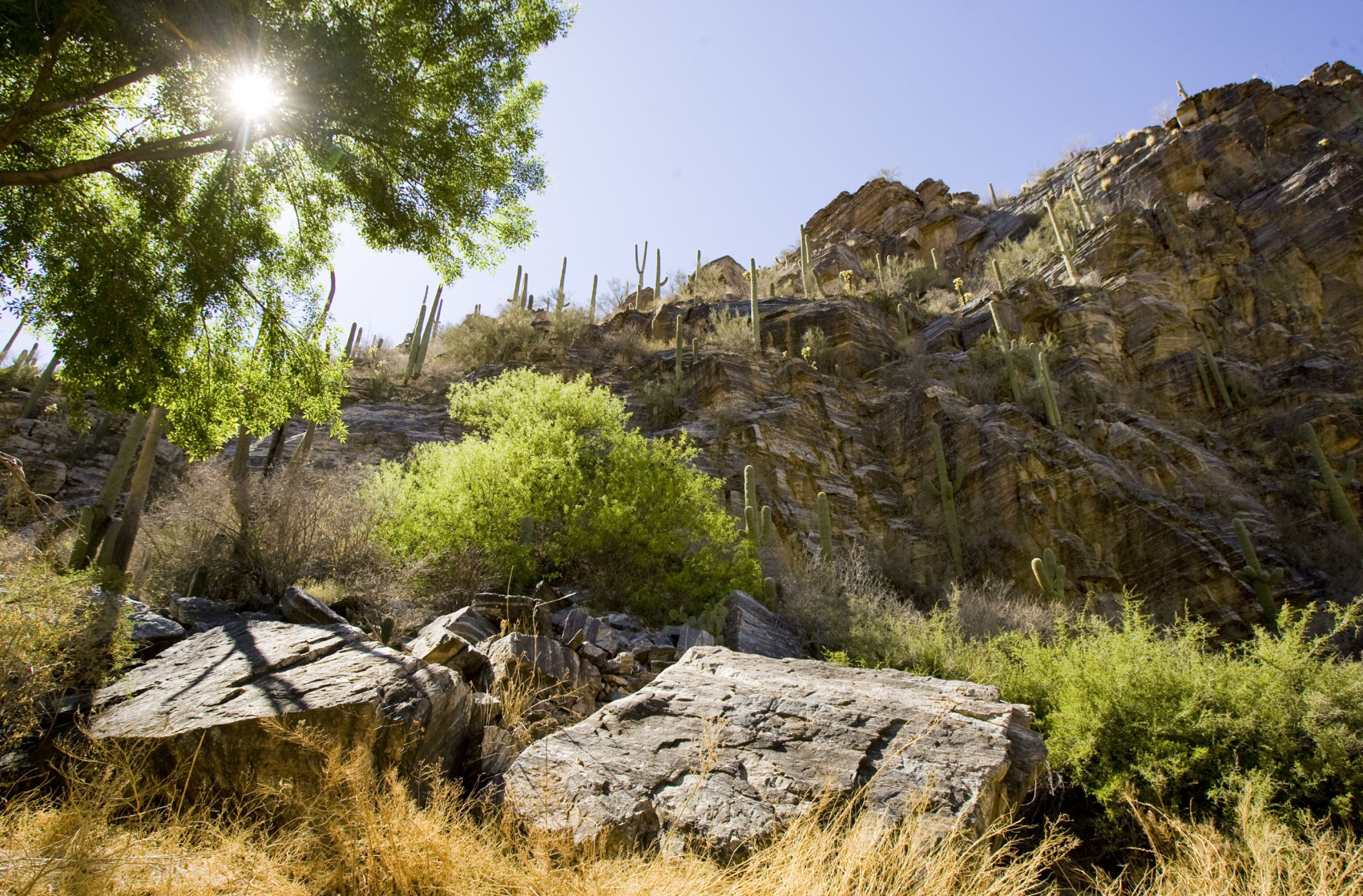 Sabino Canyon Recreation Area, Tucson